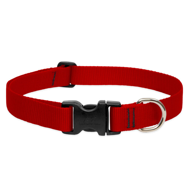 Lupine Basics Dog Collars (Quick Release)