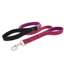 Load image into Gallery viewer, Lupine Original Designs Dog Leashes