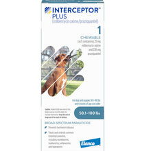 Load image into Gallery viewer, Interceptor Plus Chewable Tablet