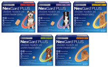 Load image into Gallery viewer, Nexgard Plus Chew