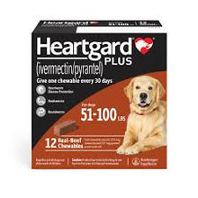 Load image into Gallery viewer, Heartgard Plus Chewable