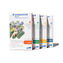 Load image into Gallery viewer, Interceptor Plus Chewable Tablet