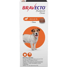 Load image into Gallery viewer, Bravecto 3-MONTH Chewable for Dogs