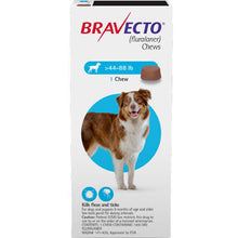 Load image into Gallery viewer, Bravecto 3-MONTH Chewable for Dogs