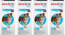 Load image into Gallery viewer, Bravecto 3-MONTH Chewable for Dogs