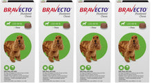 Load image into Gallery viewer, Bravecto 3-MONTH Chewable for Dogs
