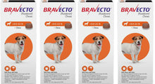 Load image into Gallery viewer, Bravecto 3-MONTH Chewable for Dogs
