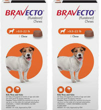 Load image into Gallery viewer, Bravecto 3-MONTH Chewable for Dogs
