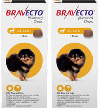 Load image into Gallery viewer, Bravecto 3-MONTH Chewable for Dogs