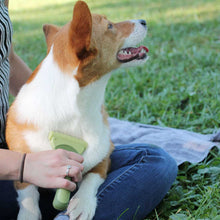 Load image into Gallery viewer, Safari Shed Magic De-Shedding Tool for Dogs with Medium to Long Hair