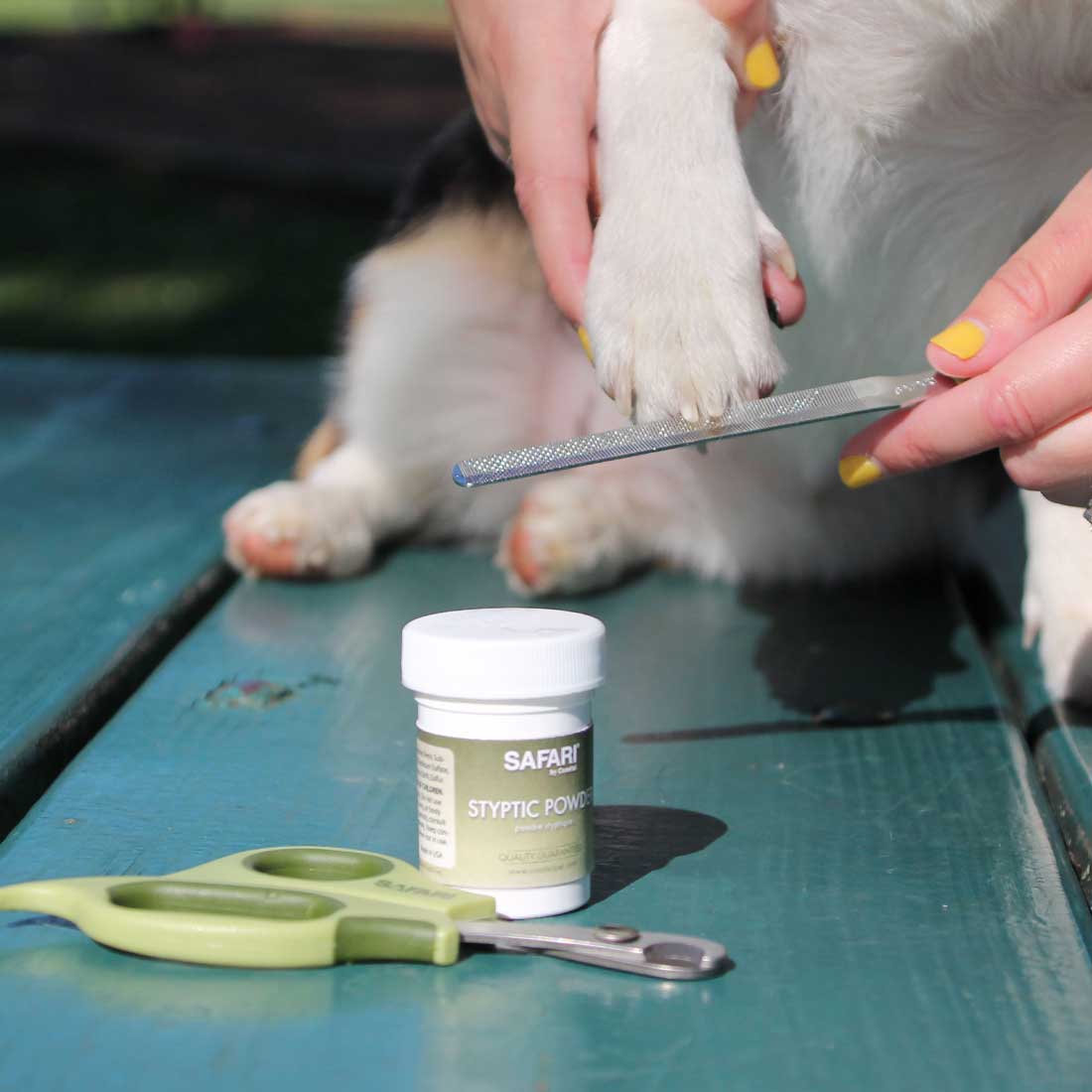 Safari Pet Styptic Powder
