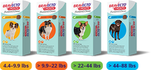 Load image into Gallery viewer, Bravecto 1-MONTH Chewable for Dogs