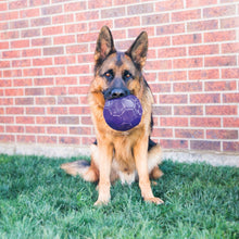 Load image into Gallery viewer, Kong Flex Ball