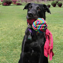 Load image into Gallery viewer, Kong Wubba Weaves