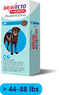 Load image into Gallery viewer, Bravecto 1-MONTH Chewable for Dogs