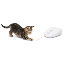 Load image into Gallery viewer, Laser Tail Automatic Laser Light Cat Toy