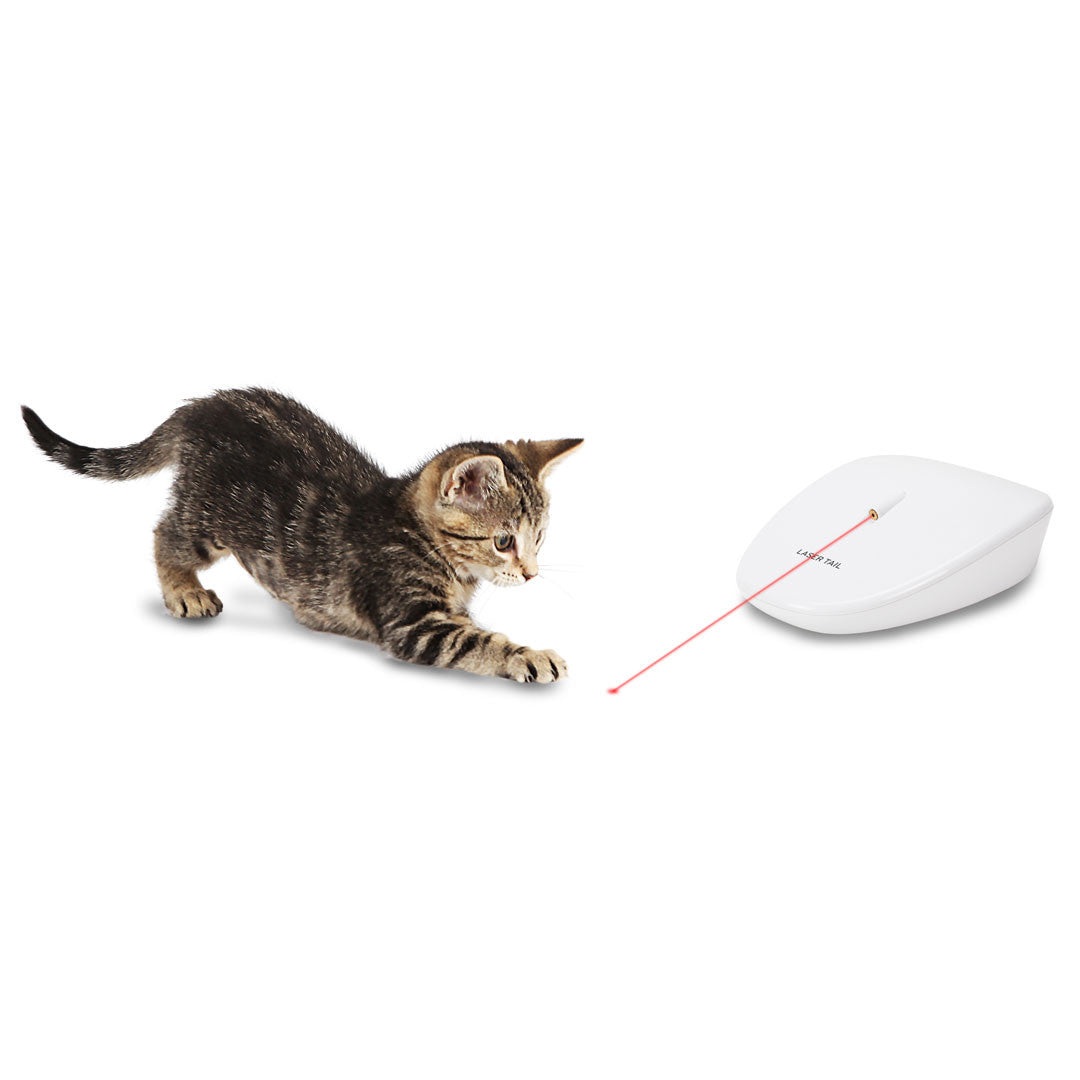 Laser Tail Automatic Laser Light Cat Toy – Creature Comforts @ Runaway Farm