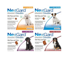 Load image into Gallery viewer, NexGard Chewable