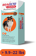 Load image into Gallery viewer, Bravecto 1-MONTH Chewable for Dogs