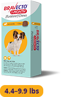 Load image into Gallery viewer, Bravecto 1-MONTH Chewable for Dogs