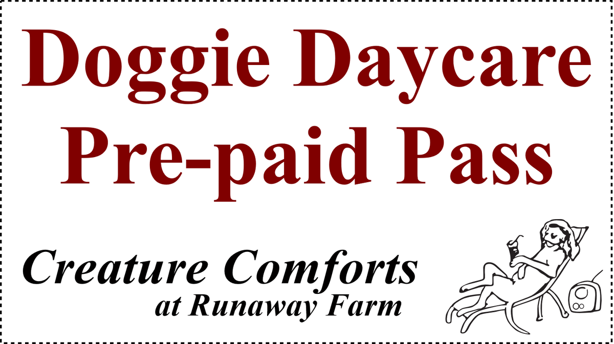 Doggie Daycare