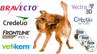 Flea & Tick Control
