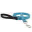 Lupine Basics Dog Leashes