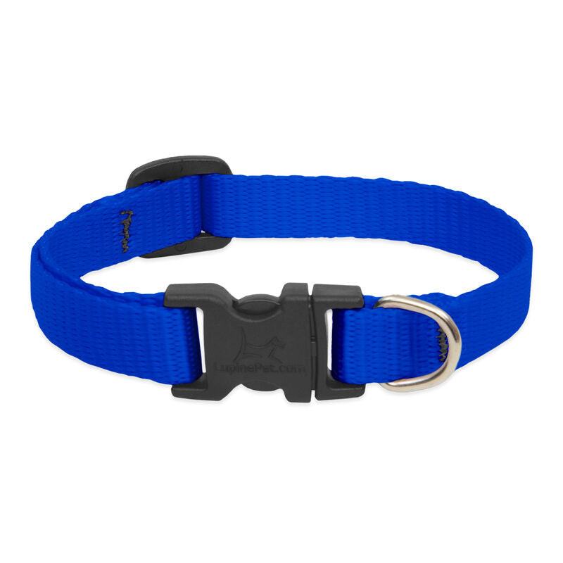 Lupine Basics Dog Collars (Quick Release)