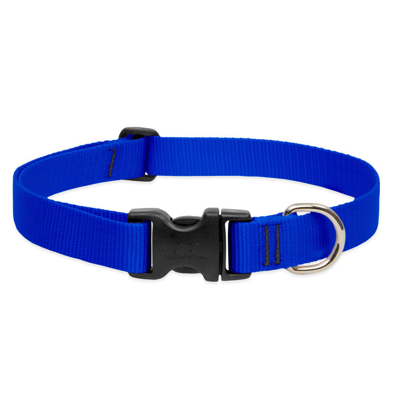 Lupine Basics Dog Collars (Quick Release)