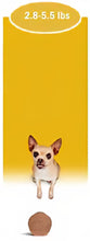 Load image into Gallery viewer, Simparica TRIO
