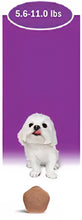 Load image into Gallery viewer, Simparica TRIO
