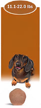 Load image into Gallery viewer, Simparica TRIO
