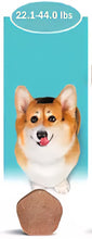 Load image into Gallery viewer, Simparica TRIO
