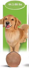 Load image into Gallery viewer, Simparica TRIO

