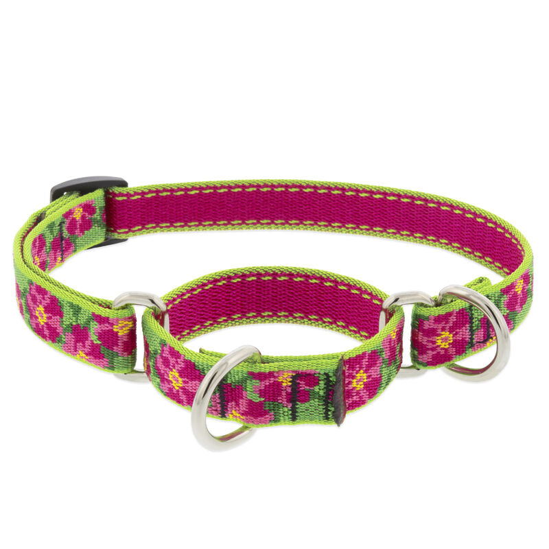 Lupine Original Designs Martingale Dog Collars