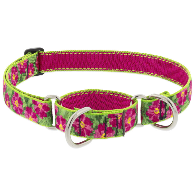 Lupine Original Designs Martingale Dog Collars