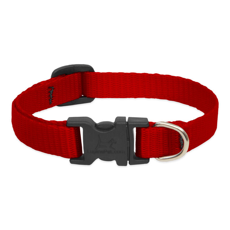 Lupine Basics Dog Collars (Quick Release)