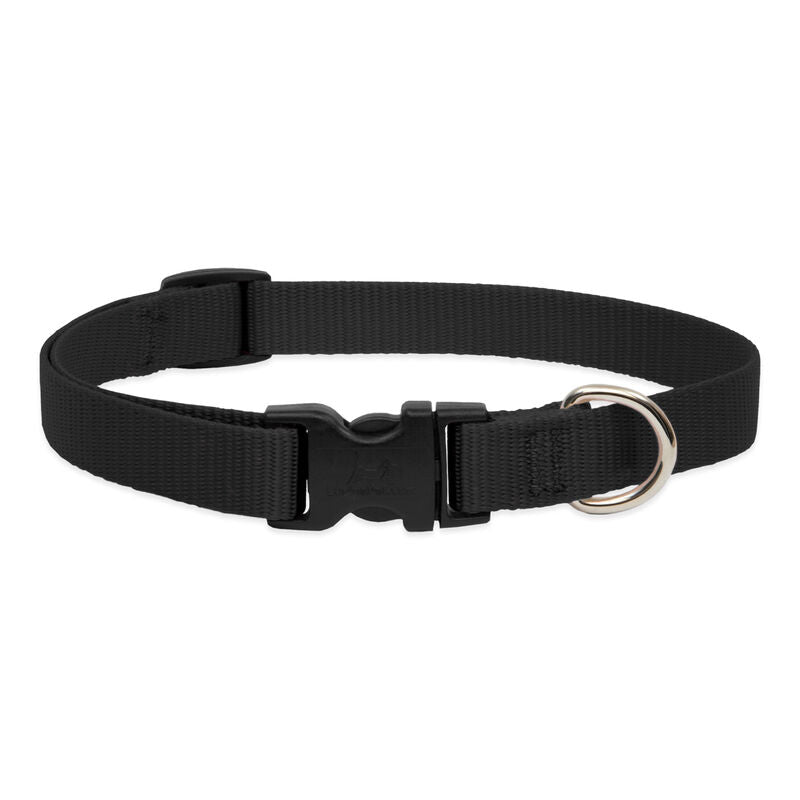 Lupine Basics Dog Collars (Quick Release)