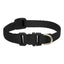 Lupine Basics Dog Collars (Quick Release)