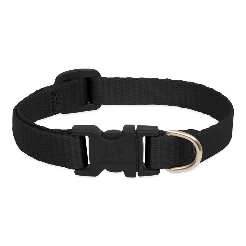Lupine Basics Dog Collars (Quick Release)