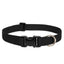 Lupine Basics Dog Collars (Quick Release)