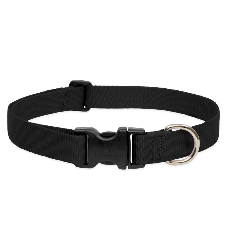 Lupine Basics Dog Collars (Quick Release)