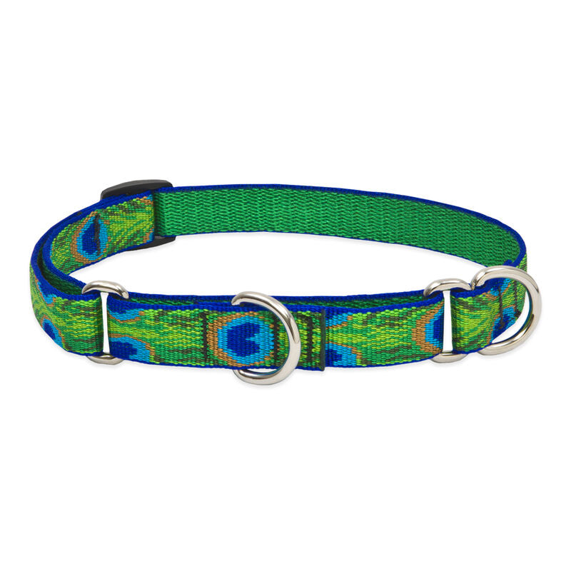 Lupine Original Designs Martingale Dog Collars