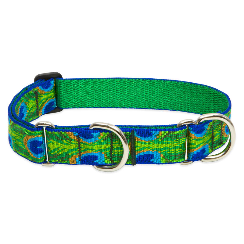 Lupine Original Designs Martingale Dog Collars