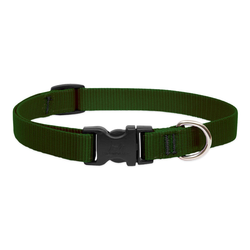 Lupine Basics Dog Collars (Quick Release)