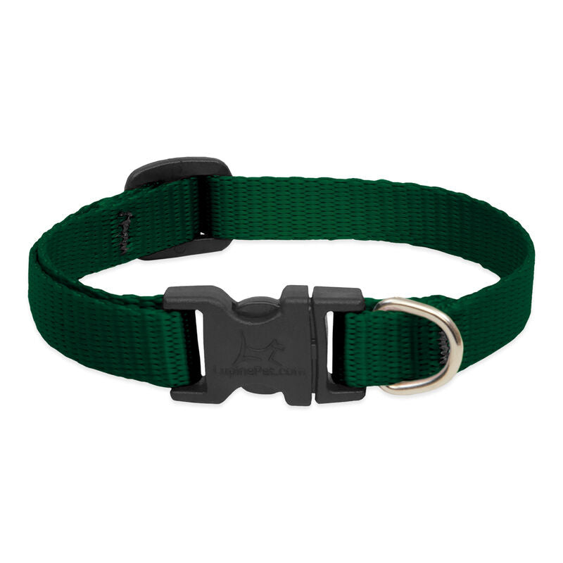 Lupine Basics Dog Collars (Quick Release)