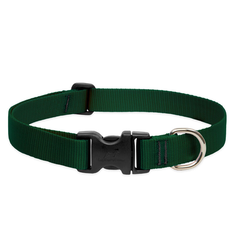 Lupine Basics Dog Collars (Quick Release)