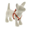 Lupine Original Designs Step In Harnesses