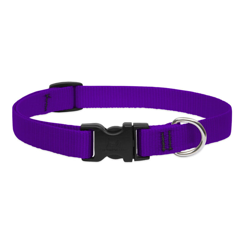 Lupine Basics Dog Collars (Quick Release)