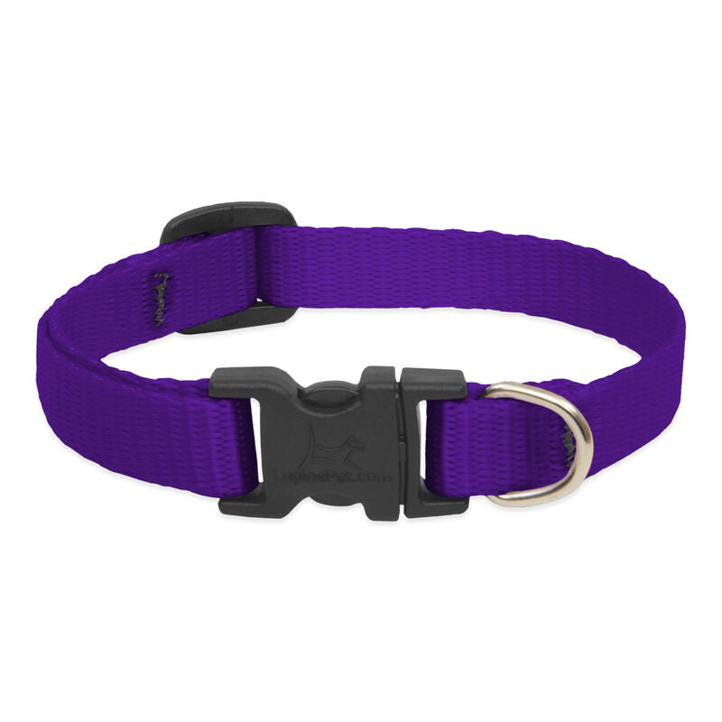 Lupine Basics Dog Collars (Quick Release)